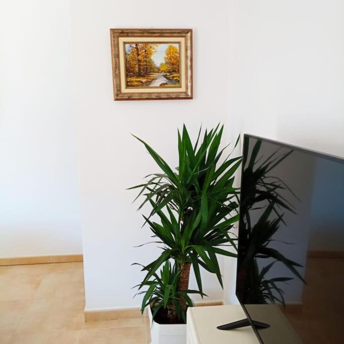 Piso Sierra Calderona A 15 Minutos Del Mar Estivella Apartment Ngoại thất bức ảnh